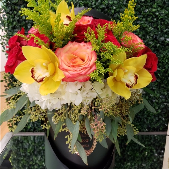 Meet your Posher, Gigi - Picture 1 of 1